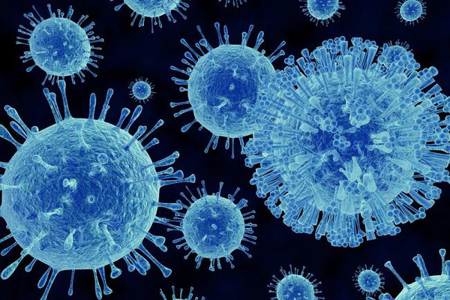 Sốt virus có lây không? Nên chăm sóc trẻ bị sốt virus như thế nào?