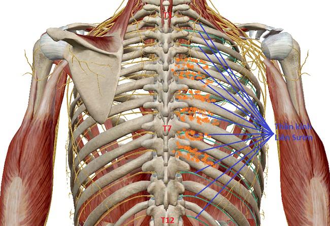 Đau dây thần kinh sinh ba và những biến chứng có thể bạn chưa biết