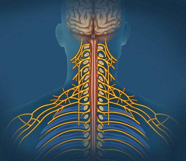 Đau thần kinh và những điều bạn cần phải biết 