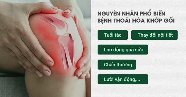 Thoái hóa khớp gối và những điều cần biết