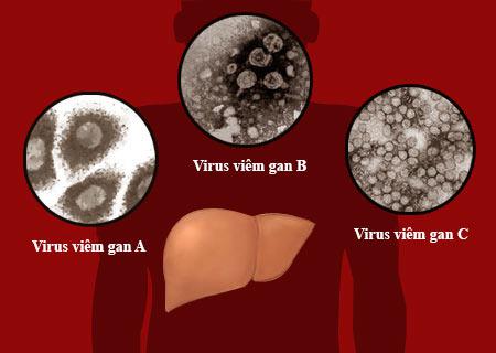 Cách bảo vệ lá gan khỏe mạnh