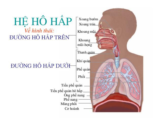 Nhiễm trùng đường hô hấp ở trẻ em | Nguy hiểm không nên xem nhẹ